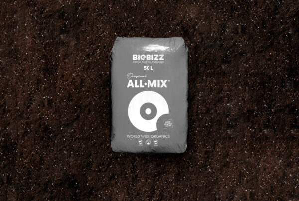 ALL MIX BIOBIZZ SUBSTRATO