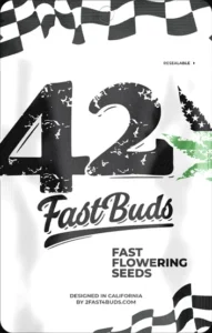 420 FAST BUDS FAST FLOWERING SEMI CANNABIS