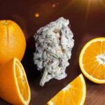 ORANGE BUD 2.0 DUTCH PASSION SEMI CANNABIS FEMMINIZZATI