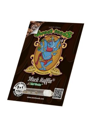 BLACK MUFFIN SWEET SEEDS FAST VERSION SEMI CANNABIS FEMMINIZZATI