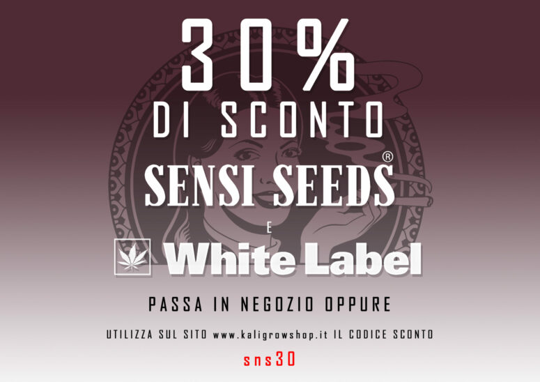 SENSI SEEDS