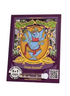 CREAM CARAMEL SWEET SEEDS SEMI CANNABIS FEMMINIZZATI