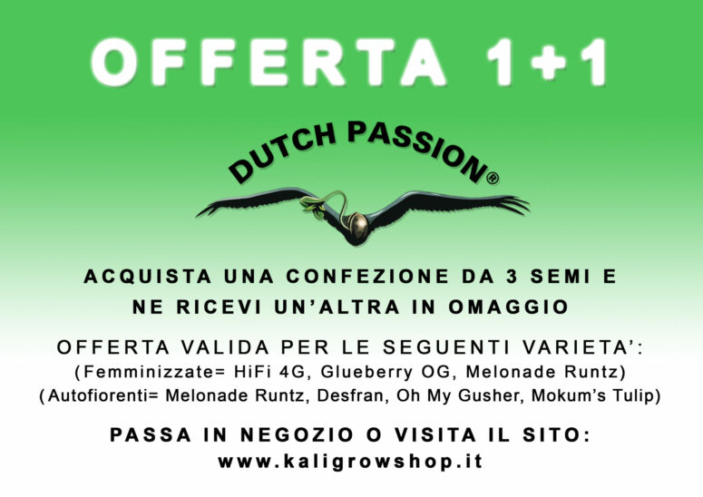 LOCANDINA-1+1-Dutch Passion-R2
