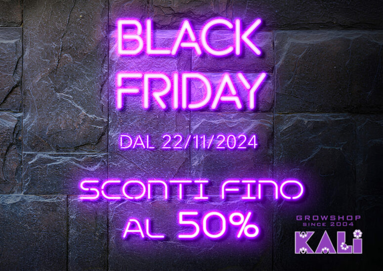 BLACK FRIDAY-2024