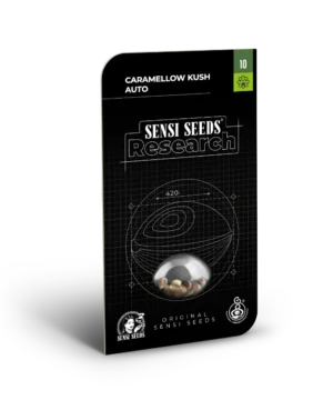 CARAMELLOW KUSH SENSI SEEDS SEMI CANNABIS AUTOFIORENTI