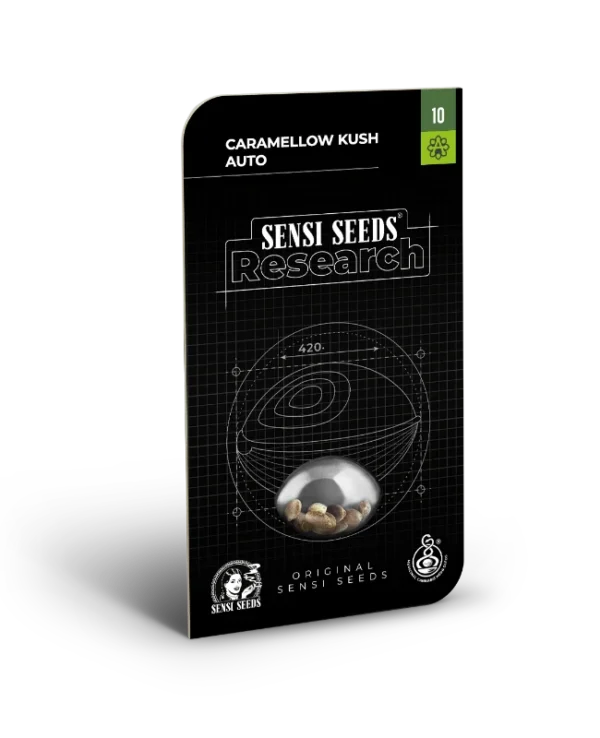 CARAMELLOW KUSH SENSI SEEDS SEMI CANNABIS AUTOFIORENTI