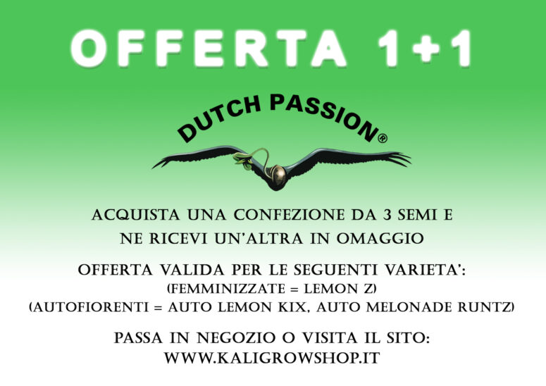 LOCANDINA-1+1-Dutch Passion-R3