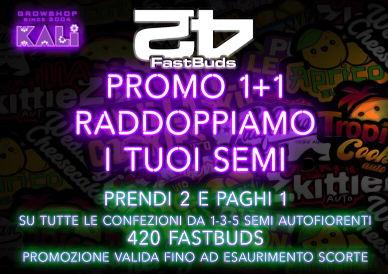 LOCANDINA-1+1-FASTBUDS420-2